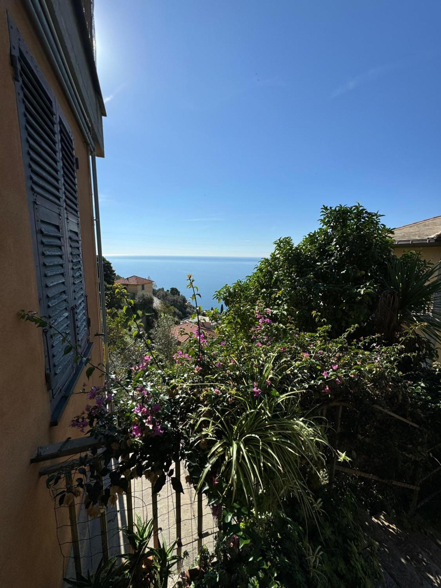 Vila Giardino Dei Limoni Pieve Ligure Exteriér fotografie